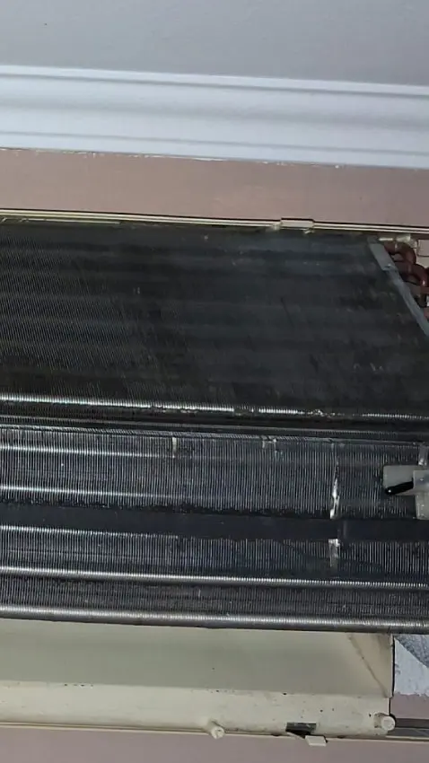 Evaporador con acumulación de suciedad afectando el rendimiento